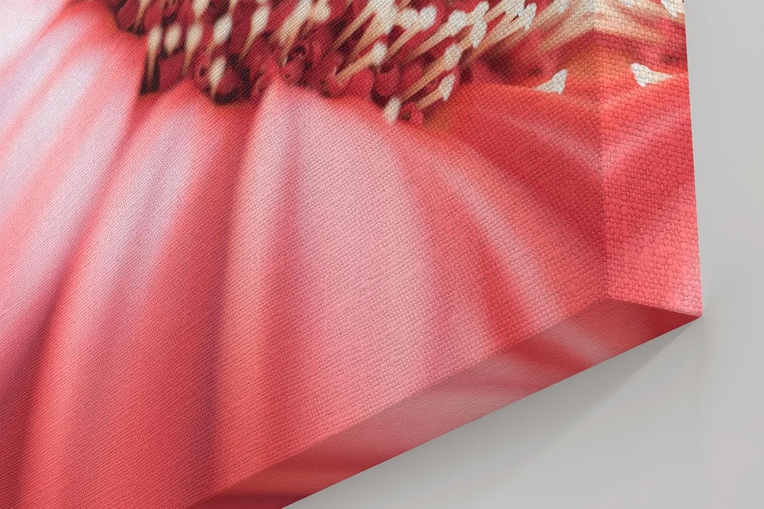 Sinus Art Wandbild 120x80cm Detailreiche Makroaufnahme einer Blüte mit sanfter Eleganz und organischer Struktur