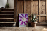 Paul Sinus Kunstdruck 40x60cm Clematis Bloom – violett-weiße Blüte in symmetrischer Komposition mit Fokus auf Zentrum