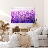 Paul Sinus Wandbild 120x80cm Lavendelfeld Lavendel Blumen Violett Wildblumen Blüten
