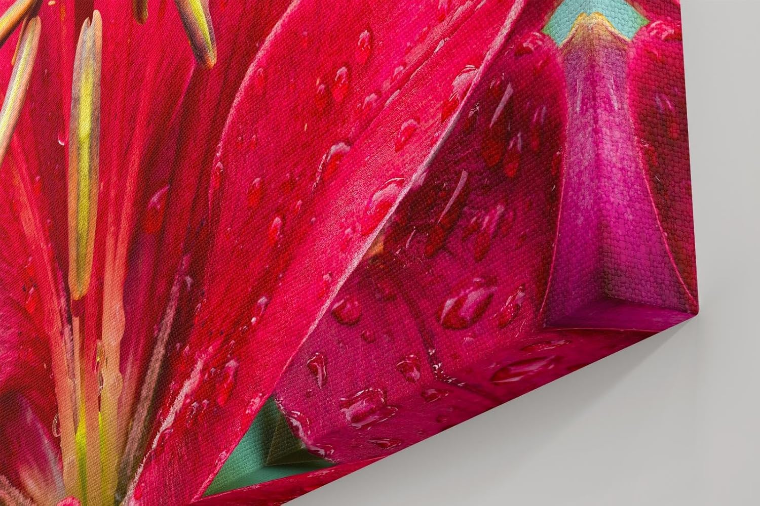 Sinus Art Wandbild 120x80cm Faszinierende Makroaufnahme einer roten Lilie mit feinen Regentropfen