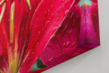 Sinus Art Wandbild 120x80cm Faszinierende Makroaufnahme einer roten Lilie mit feinen Regentropfen
