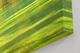 Sinus Art Wandbild 120x80cm Lichtdurchfluteter Wald mit kräftigem Grün und sanftem Schattenwurf