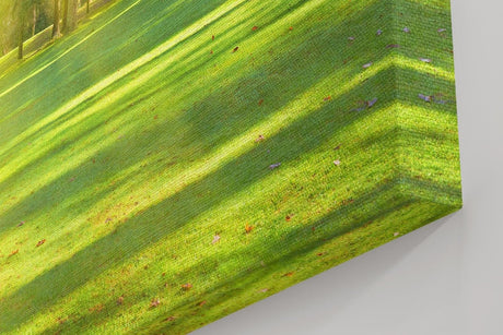 Sinus Art Wandbild 120x80cm Lichtdurchfluteter Wald mit kräftigem Grün und sanftem Schattenwurf