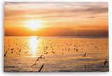 Paul Sinus Wandbild 120x80cm Meer Sonnenuntergang Möwen Horizont Himmel