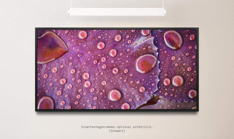 Wassertropfen auf einem Blatt ca. 130x70cm Wandbild inklusive Schattenfugenrahmen schwarz - Panorama Leinwand Bild XXL Format Wandbilder Wohnzimmer Wohnung Deko Kunstdrucke
