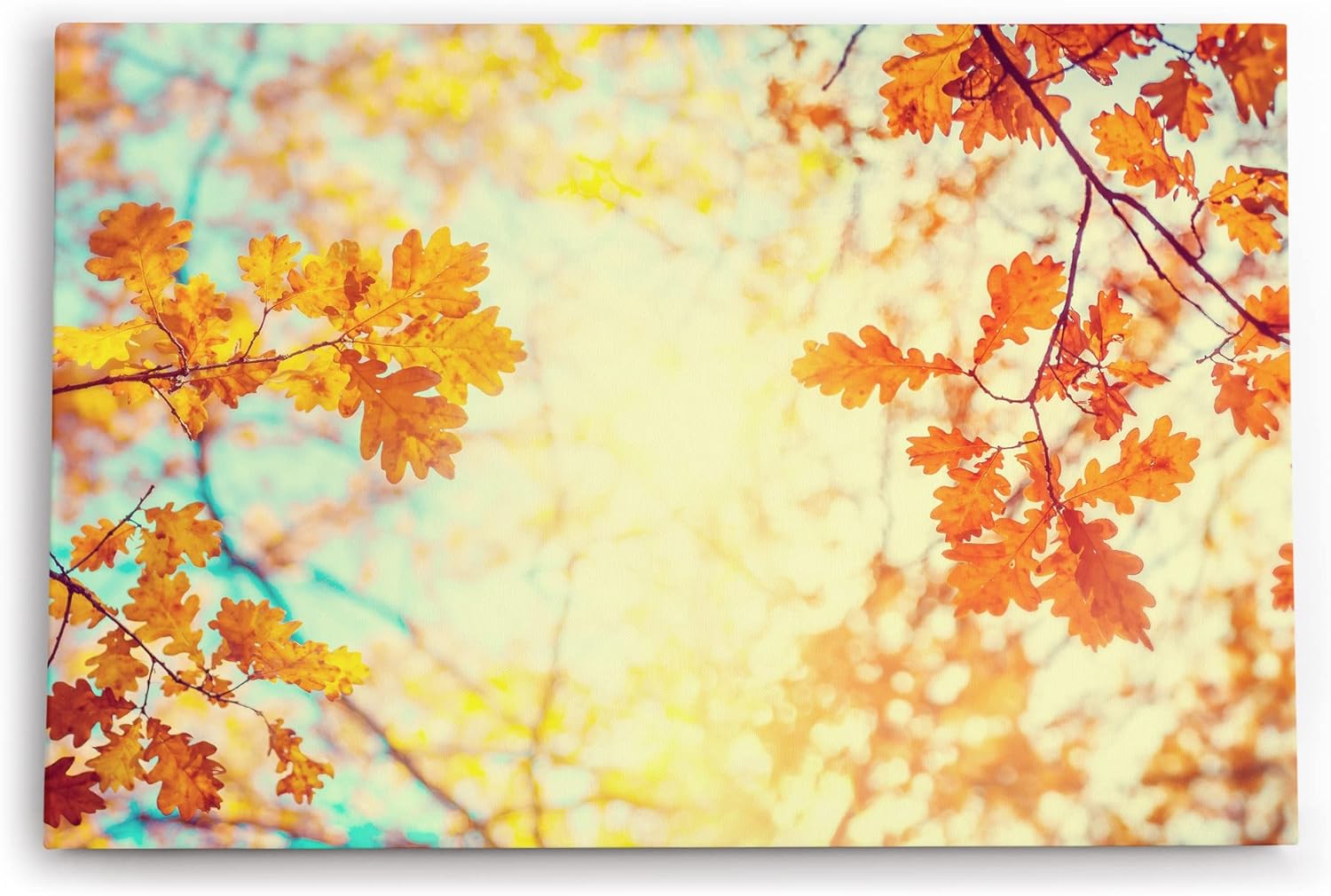 Paul Sinus Wandbild 120x80cm Eichenblatt Blatt Herbst Herbstblätter Baum Sonnenschein