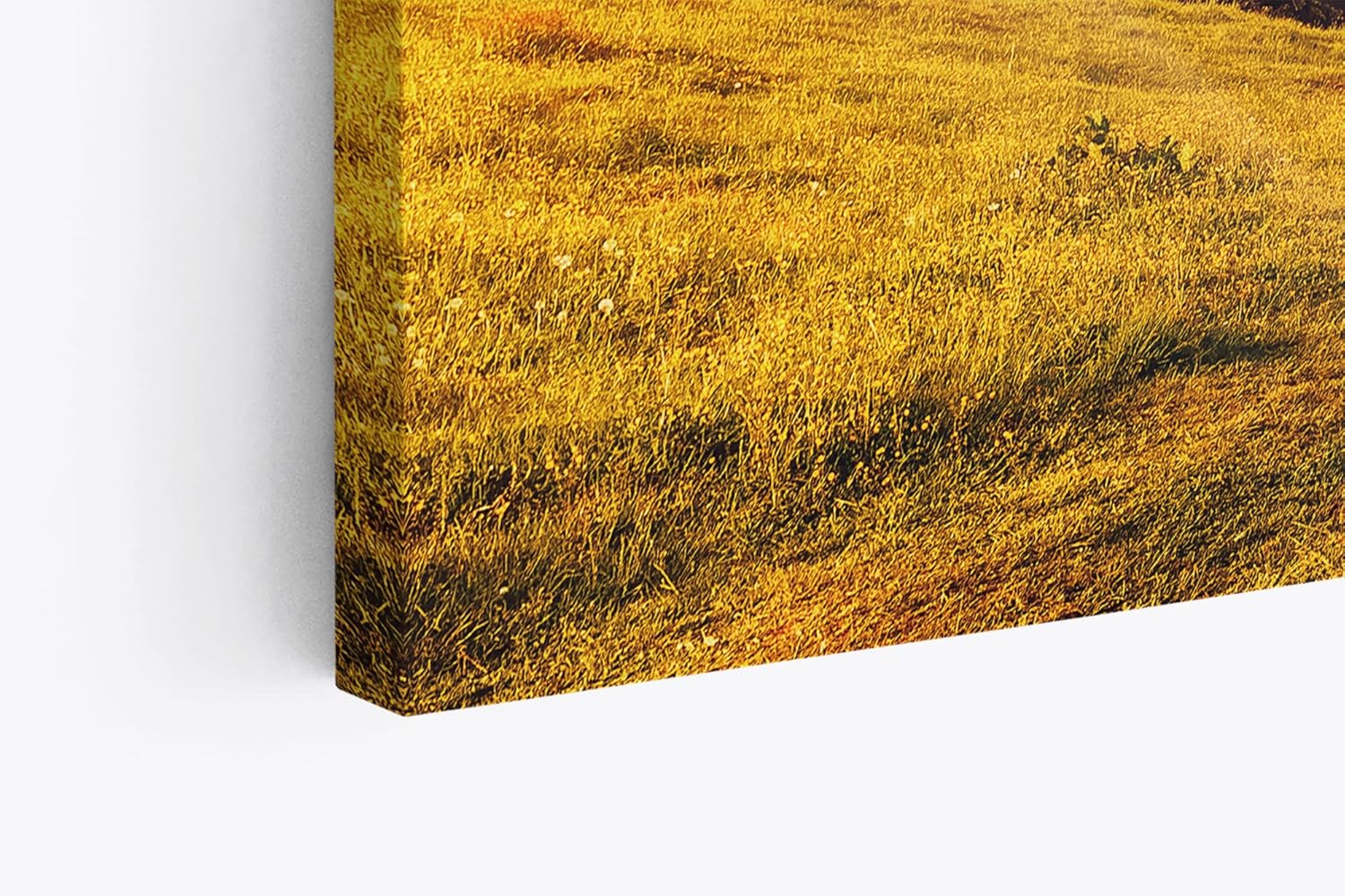 Paul Sinus Wandbild 120x80cm Alpenlandschaft Berge Gebirge Schneegipfel Wiese
