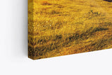 Paul Sinus Wandbild 120x80cm Alpenlandschaft Berge Gebirge Schneegipfel Wiese