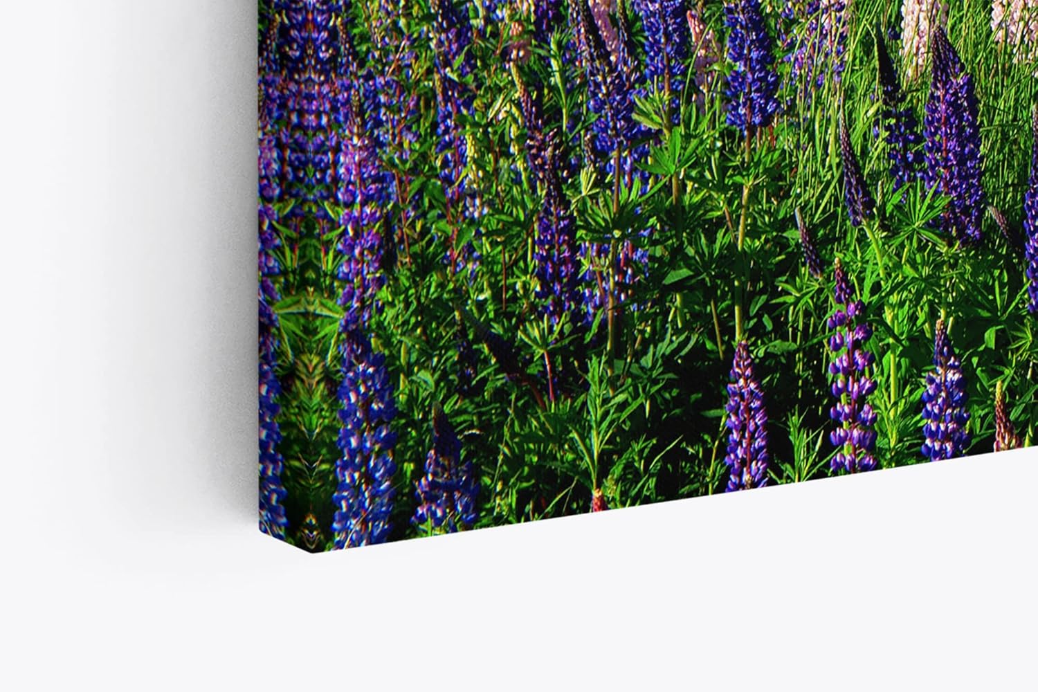 Paul Sinus Wandbild 120x80cm See Natur Tannenwald Blumen Blüten Sommer