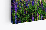 Paul Sinus Wandbild 120x80cm See Natur Tannenwald Blumen Blüten Sommer