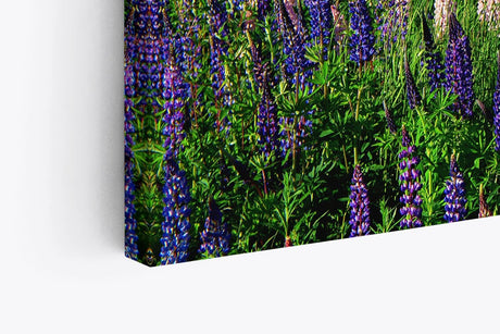 Paul Sinus Wandbild 120x80cm See Natur Tannenwald Blumen Blüten Sommer