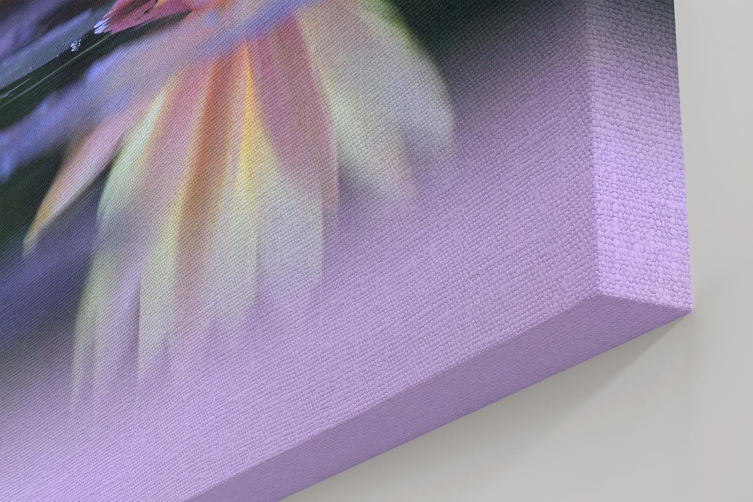 Sinus Art Wandbild 120x80cm Zartrosa Seerose auf dunklem Wasser mit Reflexion – ruhig, edel und harmonisch