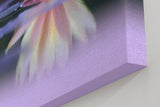 Sinus Art Wandbild 120x80cm Zartrosa Seerose auf dunklem Wasser mit Reflexion – ruhig, edel und harmonisch