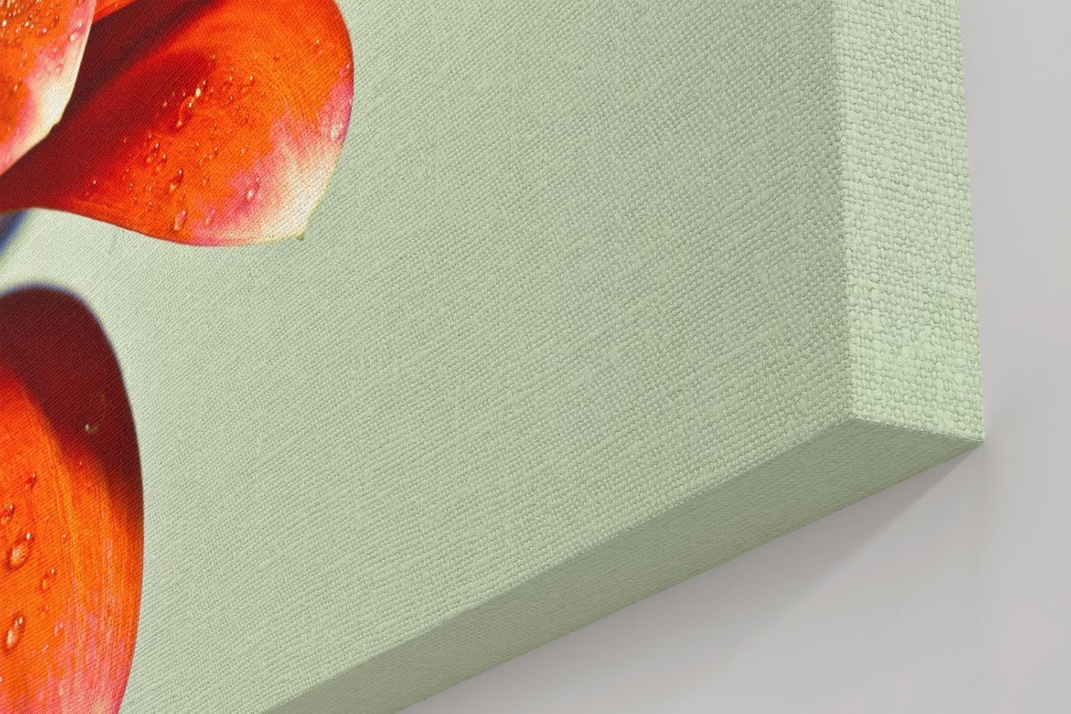 Sinus Art Wandbild 120x80cm Makroaufnahme leuchtend orangefarbener Blütenblätter mit funkelnden Wassertropfen