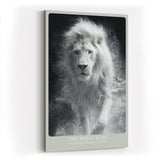 Paul Sinus Wandbild in 40x60cm The White King Weißer Löwe in frontaler Pose mit Wasserbewegung in monochromer Darstellung