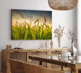 Paul Sinus Wandbild 120x80cm Weizenfeld Weizen Feld Himmel Natur Fotokunst