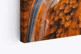Paul Sinus Wandbild 120x80cm Luftaufnahme Wald Straße Bäume rot Herbst