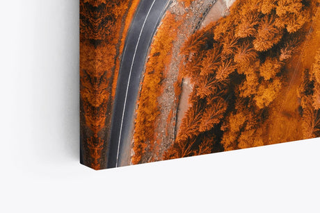 Paul Sinus Wandbild 120x80cm Luftaufnahme Wald Straße Bäume rot Herbst