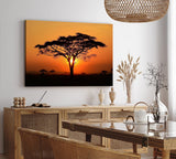 Paul Sinus Wandbild 120x80cm Afrikanische Landschaft Burkea Africana Bäume Sonnenuntergang