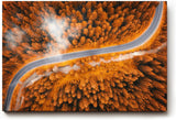 Sinus Art Wandbild 120x80cm Herbstlicher Mischwald mit elegant geschwungener Straße in Luftaufnahme