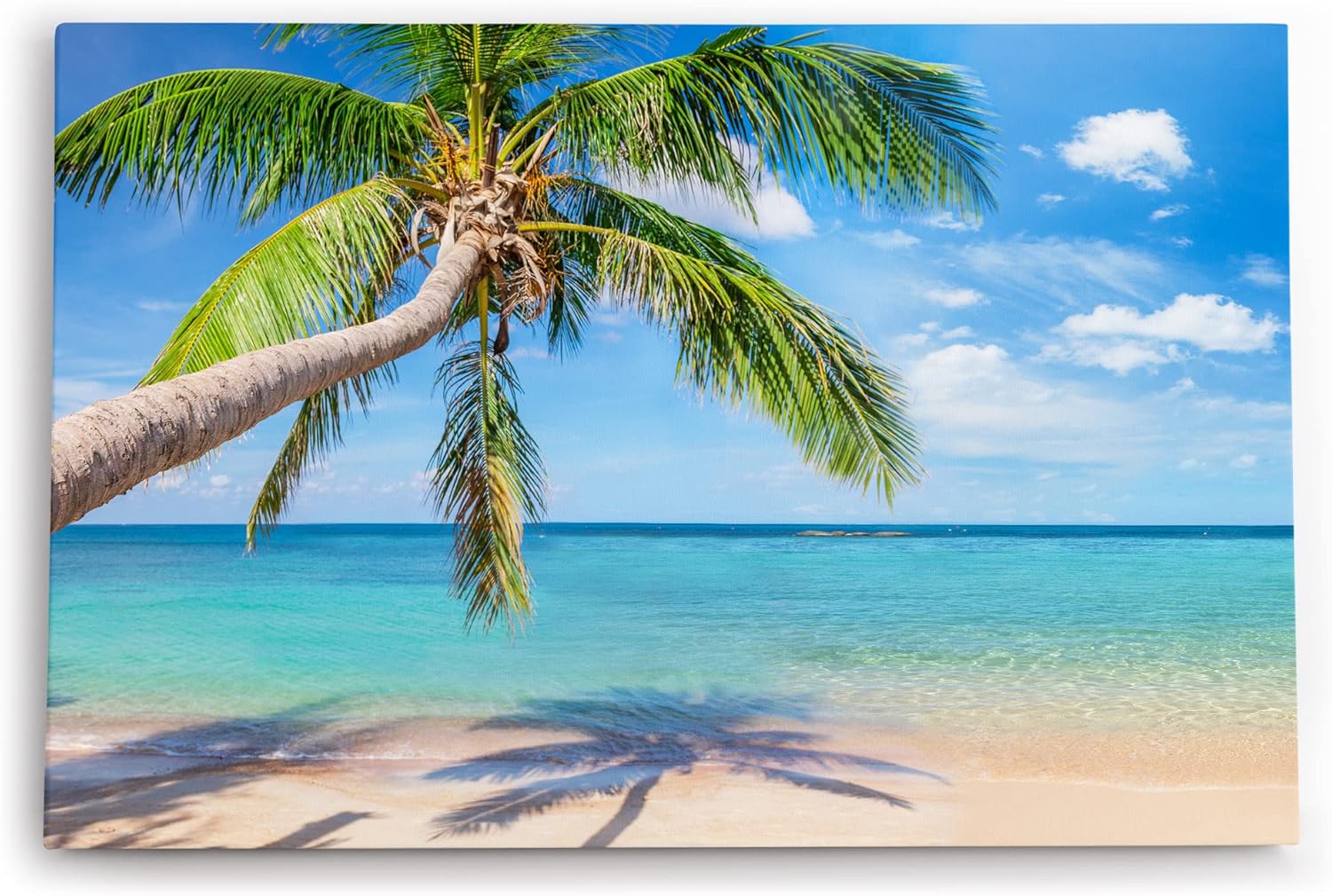 Paul Sinus Wandbild 120x80cm Traumstrand Palme Sonnenschein Sommer Meer