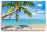 Paul Sinus Wandbild 120x80cm Traumstrand Palme Sonnenschein Sommer Meer