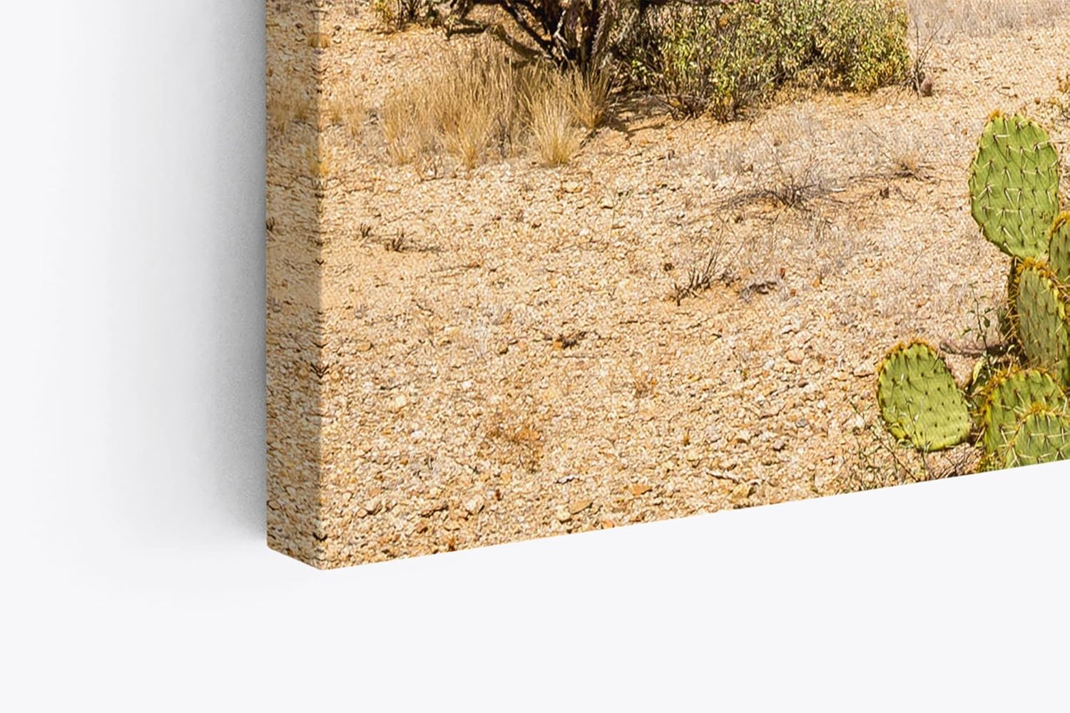 Paul Sinus Wandbild 120x80cm Kakteen Wüstenberge Mexiko Landschaft Sonnenschein