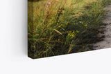 Paul Sinus Wandbild 120x80cm Ostsee Strand Sand Meer Entenflug Horizont