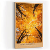 Paul Sinus Wandbild in 40x60cm Autumn Cathedral Goldgelbes Blätterdach aus der Froschperspektive mit strahlendem Sonnenlicht für herbstliche Raumakzente