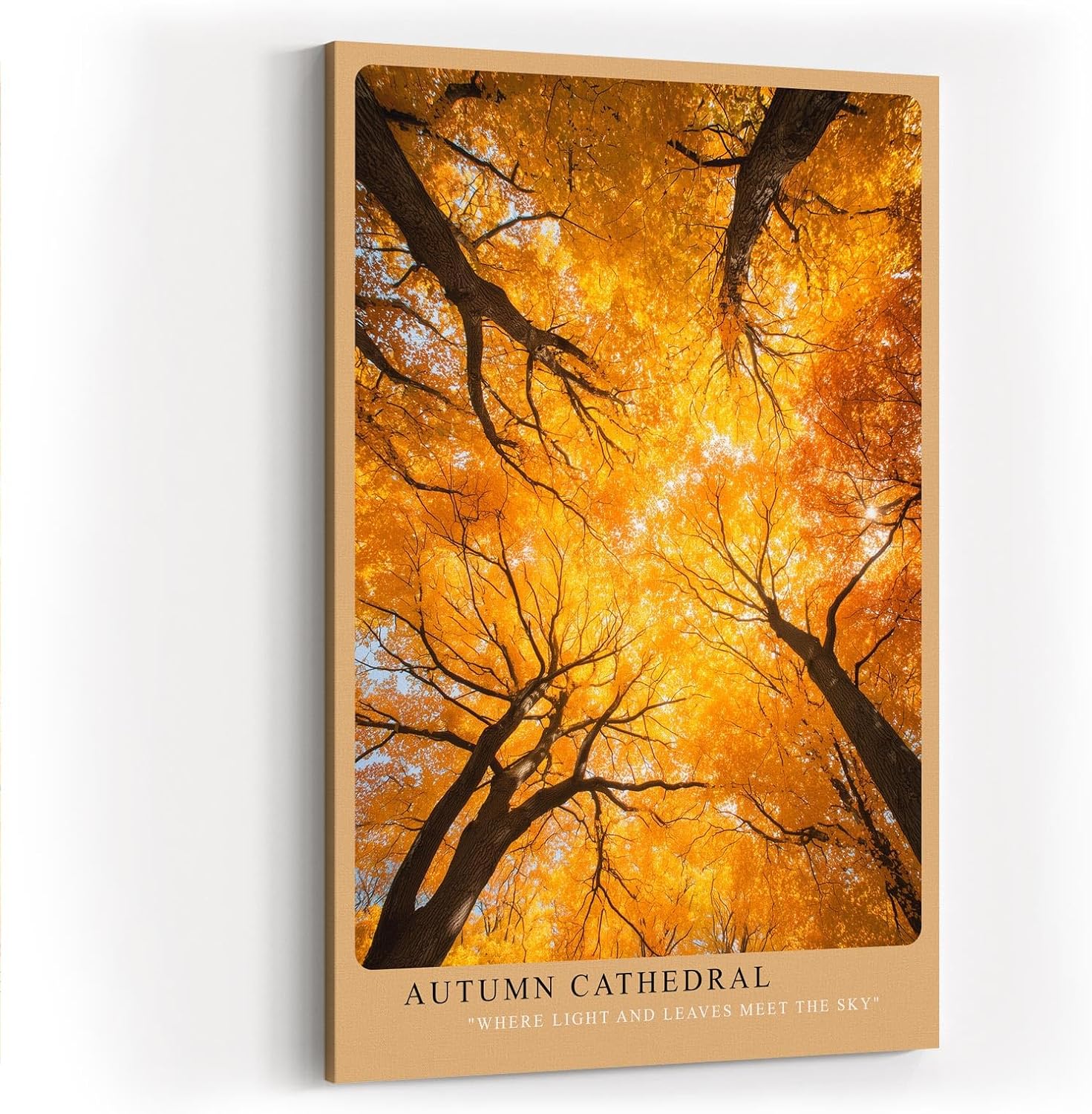 Paul Sinus Wandbild in 40x60cm Autumn Cathedral Goldgelbes Blätterdach aus der Froschperspektive mit strahlendem Sonnenlicht für herbstliche Raumakzente