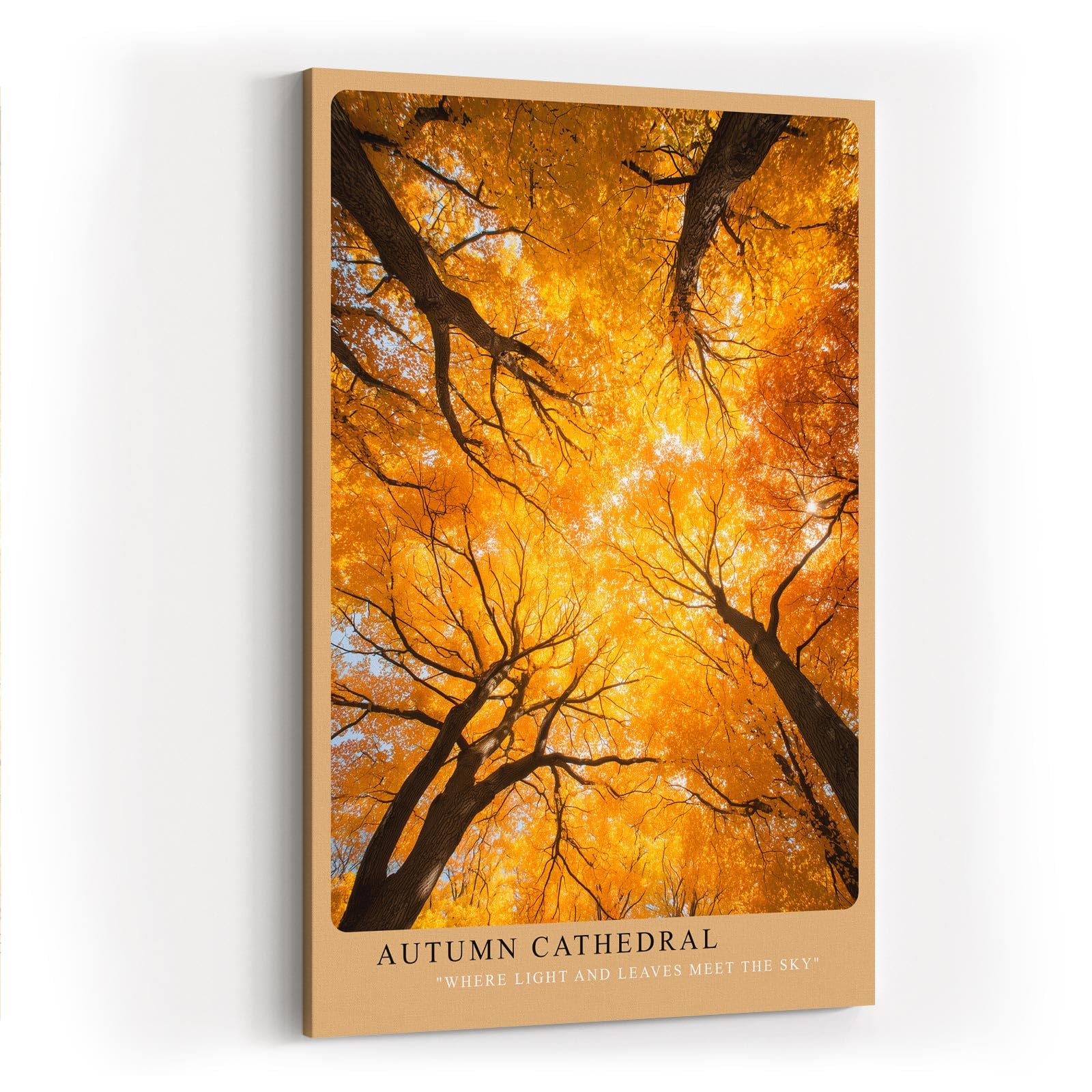 Paul Sinus Wandbild in 40x60cm Autumn Cathedral Goldgelbes Blätterdach aus der Froschperspektive mit strahlendem Sonnenlicht für herbstliche Raumakzente