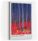 Paul Sinus Kunstdruck 40x60cm Autumn Forest Canada herbstlicher Wald mit rotem Laub und tiefen Baumstämmen in Kontraststimmung