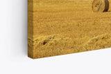 Paul Sinus Wandbild 120x80cm Weizenfeld Weizenernte Feld Natur weiße Wolken