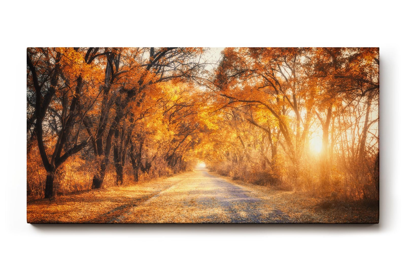 Sinus Art Wandbild 120x80cm Faszinierende Herbstallee mit goldenen Blättern und Lichtspiel in der Natur