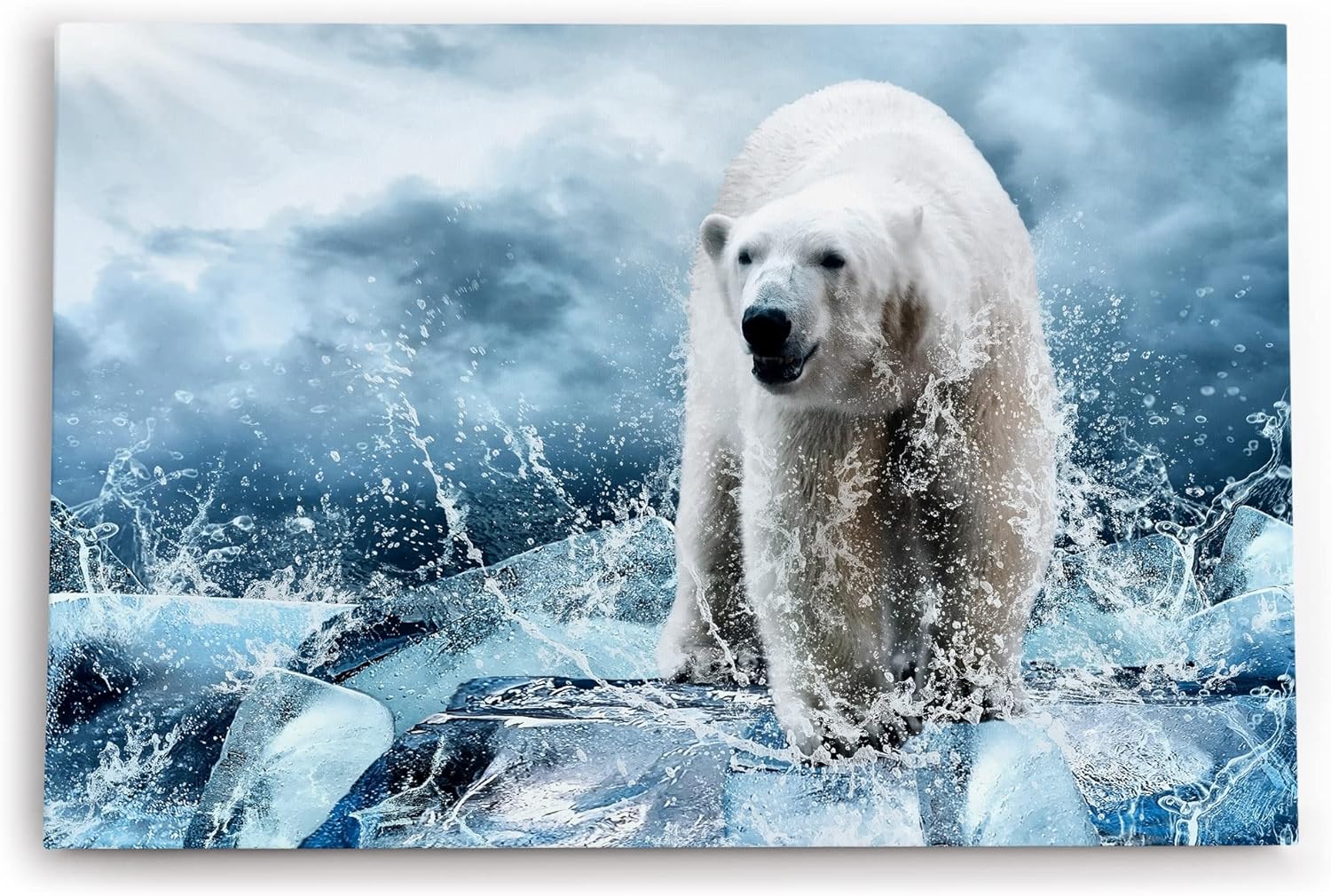 Paul Sinus Wandbild 120x80cm Eisbär Eis Wild Fotokunst Blau Ausdrucksstark Wasser