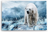 Paul Sinus Wandbild 120x80cm Eisbär Eis Wild Fotokunst Blau Ausdrucksstark Wasser