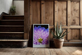 Paul Sinus Kunstdruck 40x60cm Lavender Heart Nahaufnahme violetter Blüte Where Light Meets Lush Detail