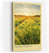 Paul Sinus Kunstdruck 40x60cm Feld Sonnenuntergang Natur Landschaft Getreide Golden Harvest
