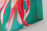 Sinus Art Wandbild 120x80cm Detailreiche Blütenaufnahme mit Bewegung und Leichtigkeit auf natürlichem Grund