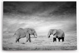 Paul Sinus Wandbild 120x80cm Zwei Elefanten Schwarz Weiß Afrika Tierfotografie