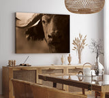 Paul Sinus Wandbild 120x80cm Büffel Wasserbüffel Thailand Hörner Natur