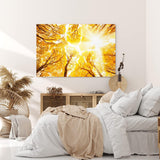 Wandbild 120x80cm Bäume Baumkronen Eiche Sonnenstrahl Sonnenschein Wald