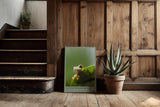 Paul Sinus Kunstdruck 40x60cm Frosch Natur Dschungel Tierkunst grün witzig Little Guardian
