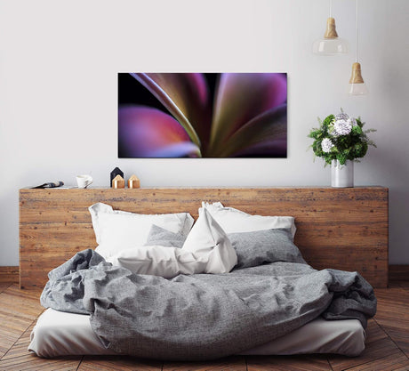 Pflanzen und Blumen ca. 130x70cm Wandbild inklusive Schattenfugenrahmen weiss - Panorama Leinwand Bild XXL Format Wandbilder Wohnzimmer Wohnung Deko Kunstdrucke