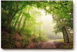 Sinus Art Wandbild 120x80cm Faszinierender Waldweg mit mystischem Nebel für Ruhe und Tiefe in jedem Raum