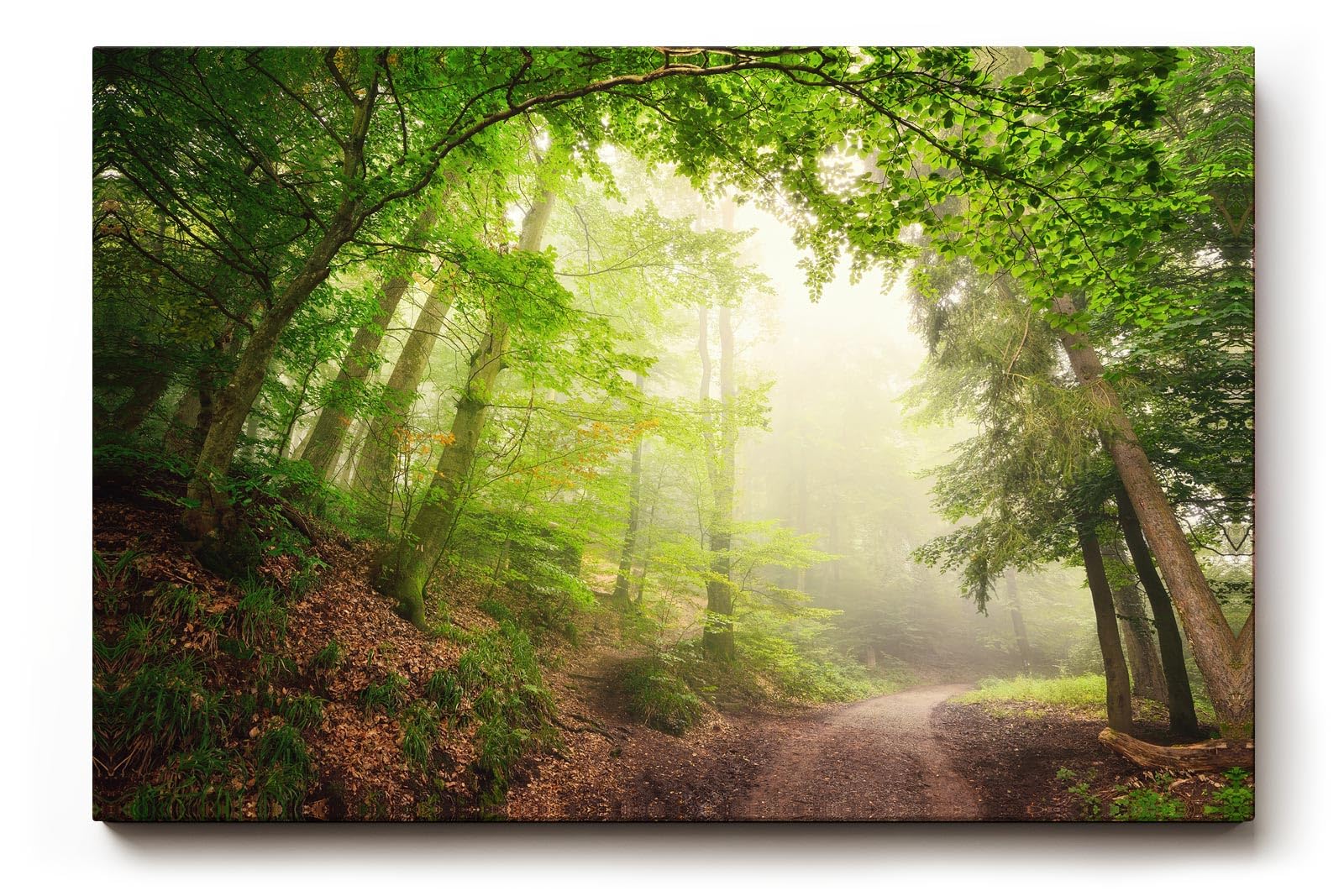 Sinus Art Wandbild 120x80cm Faszinierender Waldweg mit mystischem Nebel für Ruhe und Tiefe in jedem Raum