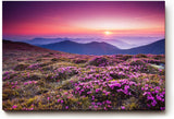 Sinus Art Wandbild 120x80cm Farbintensive Blumenwiese mit lila Blüten unter farbenfrohem Abendhimmel