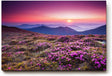 Sinus Art Wandbild 120x80cm Farbintensive Blumenwiese mit lila Blüten unter farbenfrohem Abendhimmel