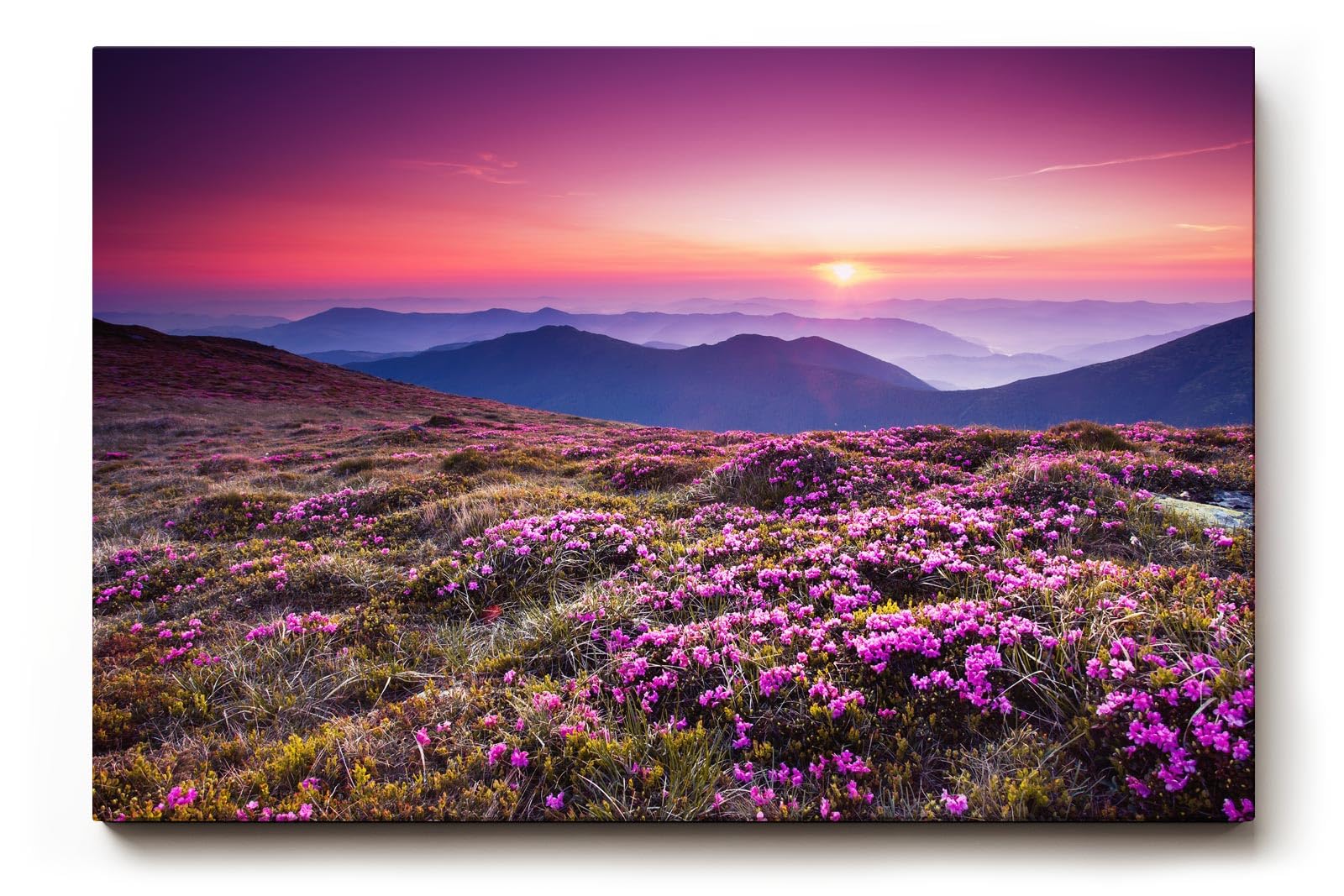 Sinus Art Wandbild 120x80cm Farbintensive Blumenwiese mit lila Blüten unter farbenfrohem Abendhimmel