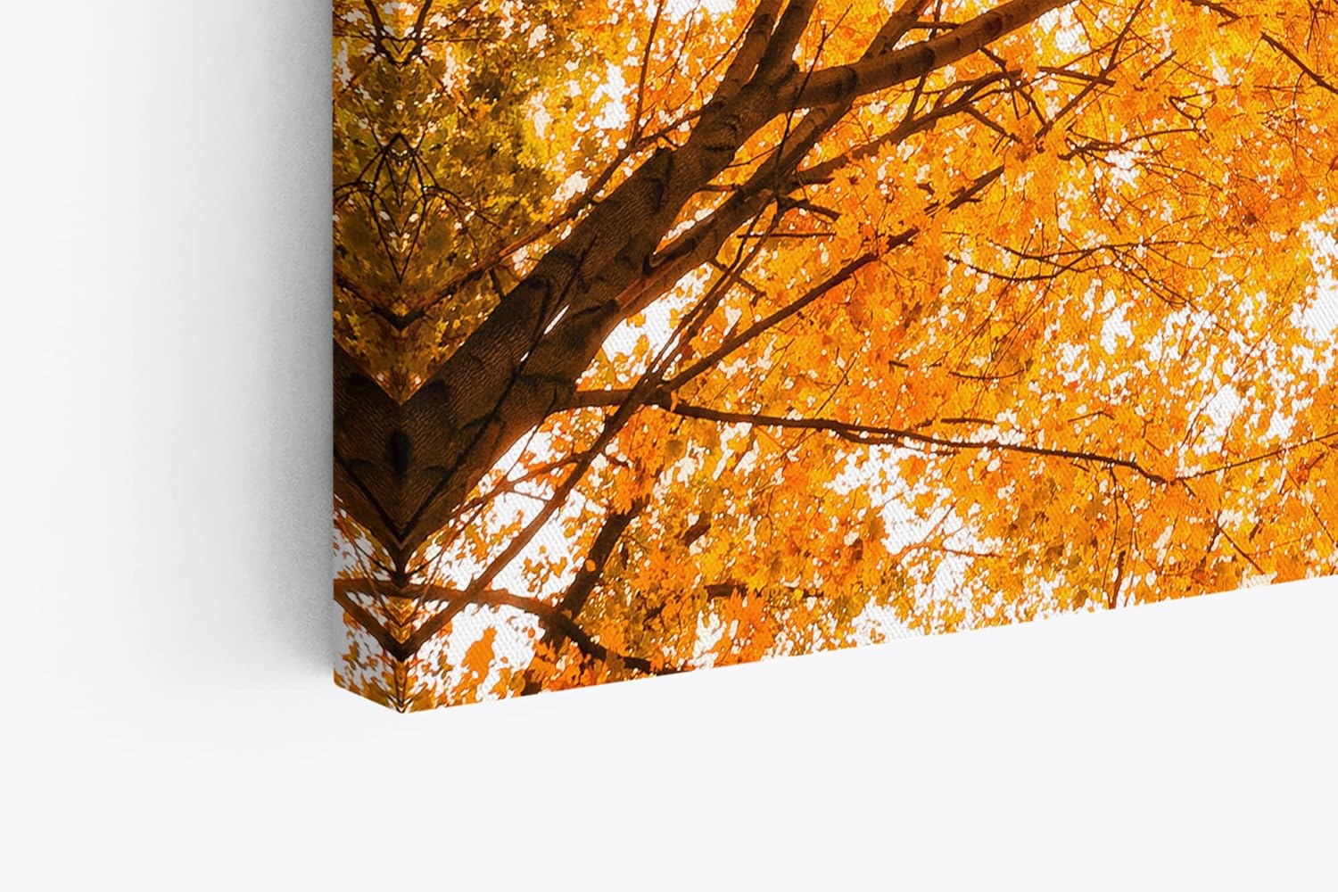 Wandbild 120x80cm Bäume Baumkronen Eiche Sonnenstrahl Sonnenschein Wald